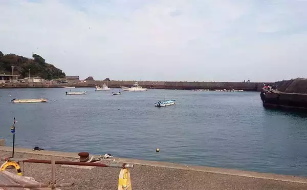 「国崎漁港でのサビキ釣りでマアジ17匹手中【三重】平均サイズは20cm」の画像