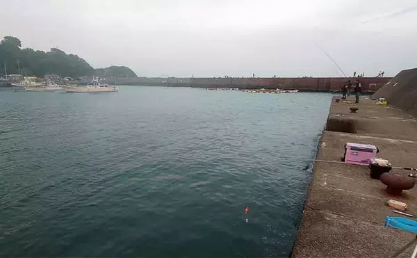 「国崎漁港でのサビキ釣りでマアジ17匹手中【三重】平均サイズは20cm」の画像