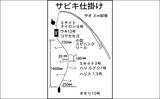 「国崎漁港でのサビキ釣りでマアジ17匹手中【三重】平均サイズは20cm」の画像4