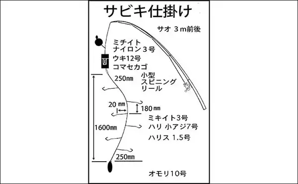 「国崎漁港でのサビキ釣りでマアジ17匹手中【三重】平均サイズは20cm」の画像