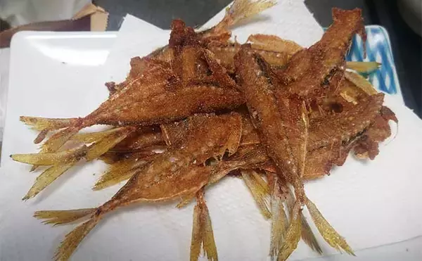 「国崎漁港でのサビキ釣りでマアジ17匹手中【三重】平均サイズは20cm」の画像