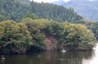 今週のヘラブナ推薦釣り場2025【千葉県・戸面原ダム】