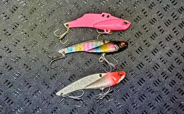 「真冬の養老川で83cm「ランカー」シーバス浮上！　バイブレーションにヒット」の画像