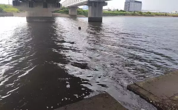 「真冬の養老川で83cm「ランカー」シーバス浮上！　バイブレーションにヒット」の画像