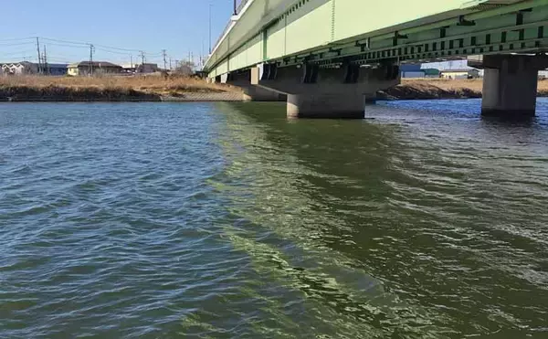 「真冬の養老川で83cm「ランカー」シーバス浮上！　バイブレーションにヒット」の画像