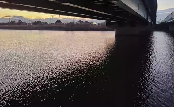 「真冬の養老川で83cm「ランカー」シーバス浮上！　バイブレーションにヒット」の画像