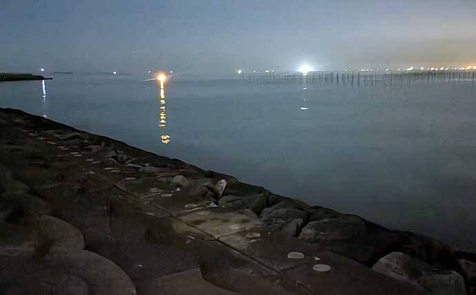 「極寒でも本命確保！」大野海岸の夜釣りでマアナゴ7匹を手中【愛知】