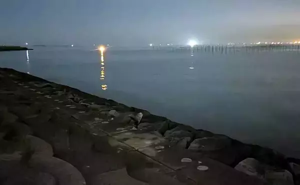 「「極寒でも本命確保！」大野海岸の夜釣りでマアナゴ7匹を手中【愛知】」の画像