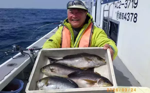 「「脂ノリ抜群！」大山沖イサキ釣りで良型主体に数釣りチャンス【船釣り釣果速報・愛知】」の画像