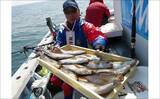 「「脂ノリ抜群！」大山沖イサキ釣りで良型主体に数釣りチャンス【船釣り釣果速報・愛知】」の画像5