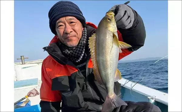 「「脂ノリ抜群！」大山沖イサキ釣りで良型主体に数釣りチャンス【船釣り釣果速報・愛知】」の画像