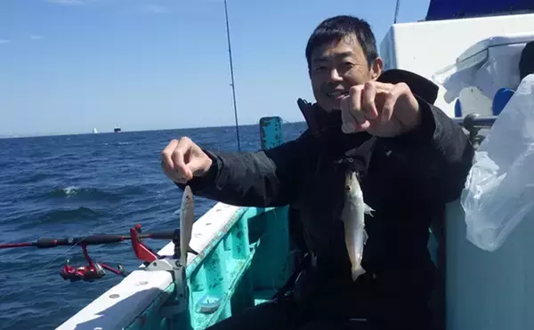 「「東京湾の船キス釣りが好調！」木更津沖＆横浜沖で22cm頭に45匹【小峰丸・千葉】」の画像