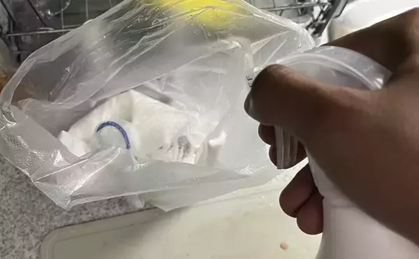「白子入りイサキは今が旬！ 船上での処理・持ち帰り方・調理法・片付けまで徹底レポート」の画像