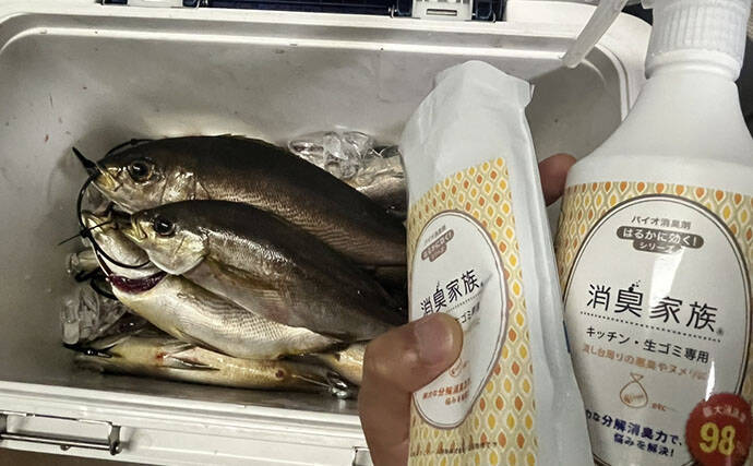 白子入りイサキは今が旬！ 船上での処理・持ち帰り方・調理法・片付けまで徹底レポート