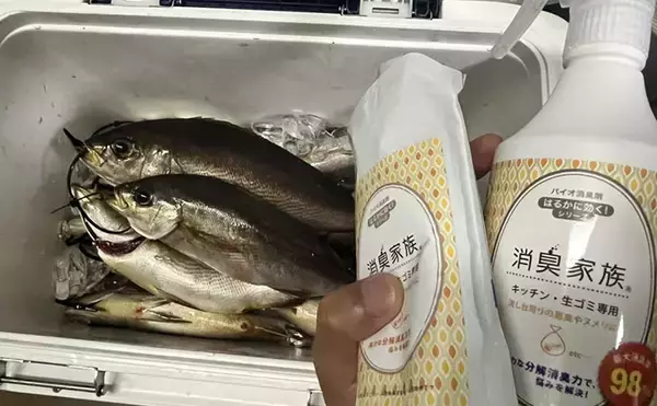 「白子入りイサキは今が旬！ 船上での処理・持ち帰り方・調理法・片付けまで徹底レポート」の画像