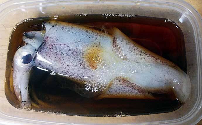 ケンサキイカの家漬け レシピ 冷凍はアニサキス対策だけではない 22年6月29日 エキサイトニュース