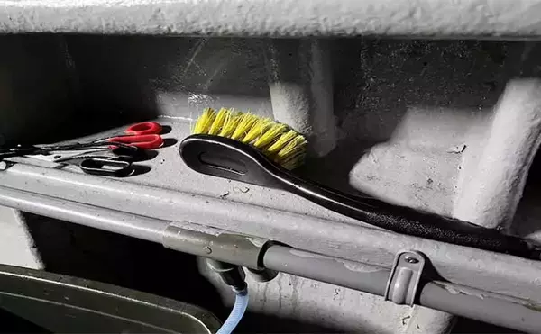 「新潟エリアでアオリイカが絶好調！ティップランで2桁釣果【新潟・光海丸】」の画像