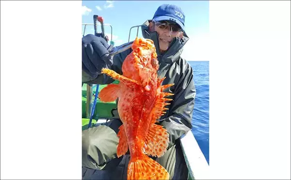 「【沖釣り釣果速報】キャスティングゲームで良型サワラをゲット！（三重）」の画像