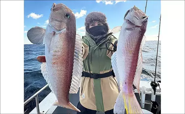 「【沖釣り釣果速報】キャスティングゲームで良型サワラをゲット！（三重）」の画像