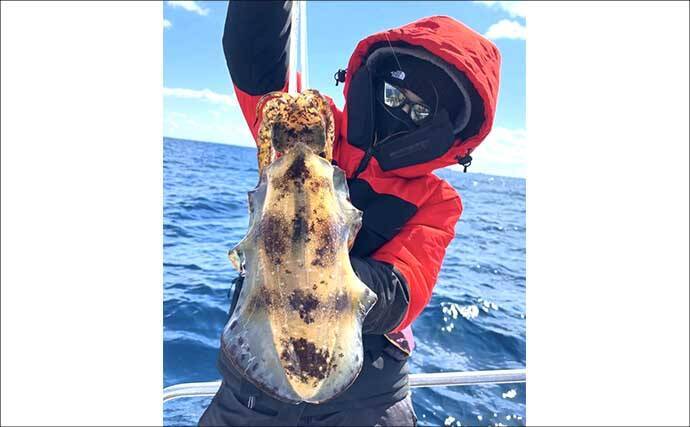 【沖釣り釣果速報】キャスティングゲームで良型サワラをゲット！（三重）