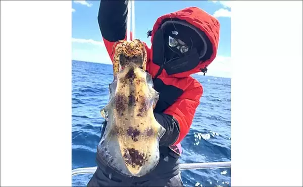 「【沖釣り釣果速報】キャスティングゲームで良型サワラをゲット！（三重）」の画像