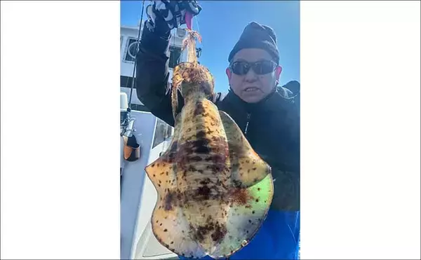 「【沖釣り釣果速報】キャスティングゲームで良型サワラをゲット！（三重）」の画像