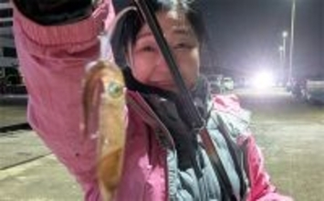 釣れないと言われる半田港でヒイカを狙う【愛知】エサ釣りで当たり千金の2匹キャッチ