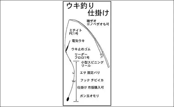 「釣れないと言われる半田港でヒイカを狙う【愛知】エサ釣りで当たり千金の2匹キャッチ」の画像