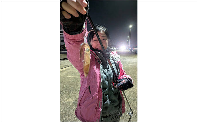 釣れないと言われる半田港でヒイカを狙う【愛知】エサ釣りで当たり千金の2匹キャッチ