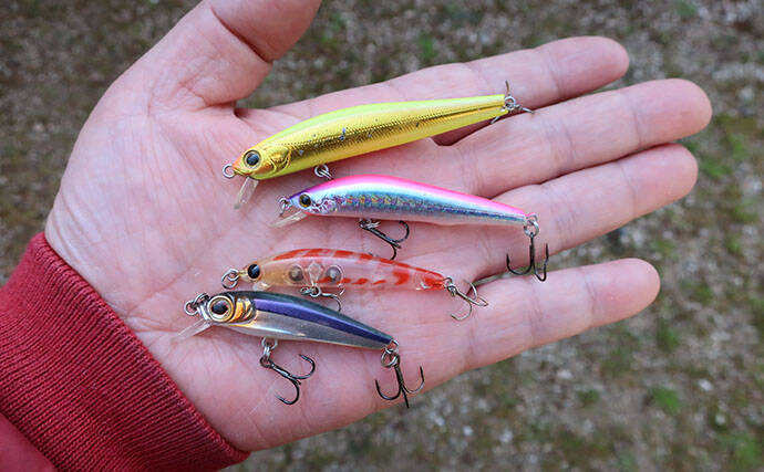 「早春のベイトは小型！」サーフの【マイクロベイトパターン】シーバスゲーム攻略術