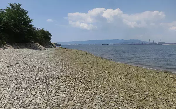 「「早春のベイトは小型！」サーフの【マイクロベイトパターン】シーバスゲーム攻略術」の画像