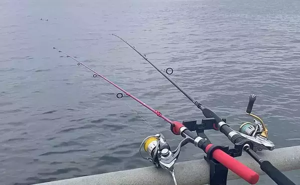 「温排水ポイントでのサビキ釣りでアジ好捕【愛知】トリックサビキが奏功」の画像