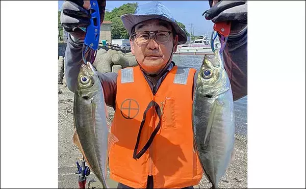 「東京湾「手こぎボート釣り」で45cmアジ手中【神奈川・斉田ボート】別艇ではマダイも登場」の画像