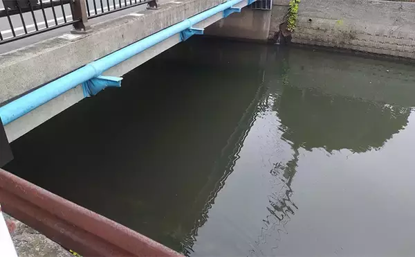 「隣の人は釣れているのに自分だけが釣れない不思議　腕だけじゃない3つの理由とは？」の画像