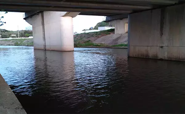 「隣の人は釣れているのに自分だけが釣れない不思議　腕だけじゃない3つの理由とは？」の画像