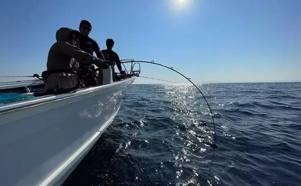 「【2026年に流行る釣りはコレ！】大手釣具屋店員200人がズバリ大予想　ランキングで発表」の画像