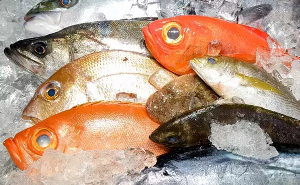 「魚類最大のグループ「スズキ目」から『スズキ』が脱退？　分類調査の科学技術進歩が理由」の画像