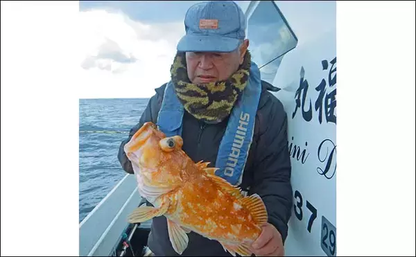 「玄界灘の沖五目釣りでアオナ2.5kg筆頭にレンコダイ・ボッコ続々【福岡】多魚種そろい踏みで盛況」の画像