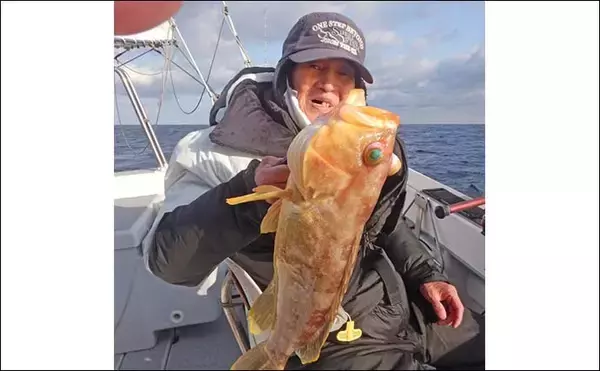 「玄界灘の沖五目釣りでアオナ2.5kg筆頭にレンコダイ・ボッコ続々【福岡】多魚種そろい踏みで盛況」の画像