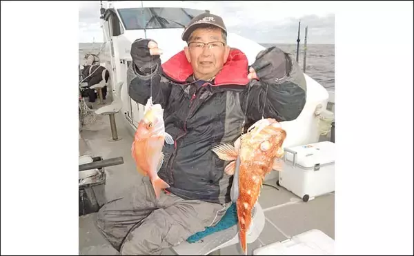 「玄界灘の沖五目釣りでアオナ2.5kg筆頭にレンコダイ・ボッコ続々【福岡】多魚種そろい踏みで盛況」の画像