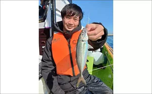 「東京湾の半日LTアジ釣りでトップ26尾【進丸】ゲストにイシモチにクロダイが顔出し」の画像