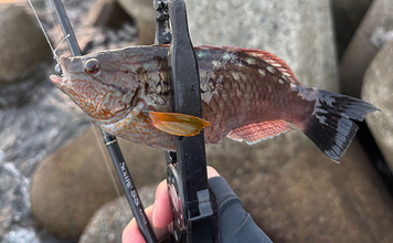 「春になれば魚が釣れる」という幻想と現実　4〜5月は意外とシビア！と覚悟せよ