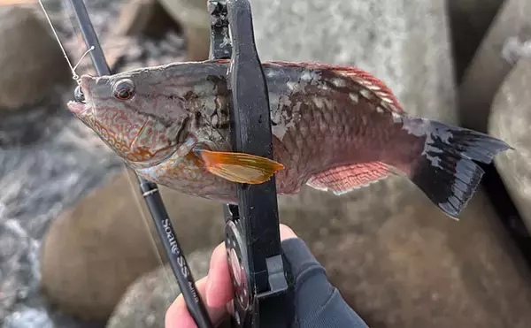 「春になれば魚が釣れる」という幻想と現実　4〜5月は意外とシビア！と覚悟せよ