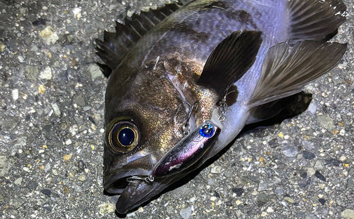 「春になれば魚が釣れる」という幻想と現実　4〜5月は意外とシビア！と覚悟せよ