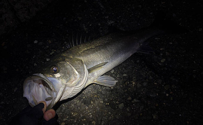 「春になれば魚が釣れる」という幻想と現実　4〜5月は意外とシビア！と覚悟せよ