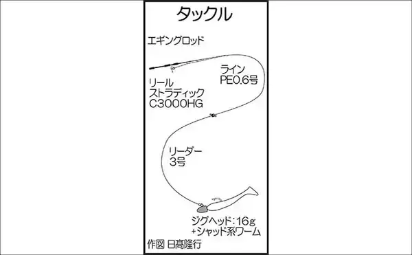 「陸っぱりロックフィッシュゲーム釣果レポート：沖堤防でオオモンハタ＆アカハタ好捕【牛深・熊本】」の画像