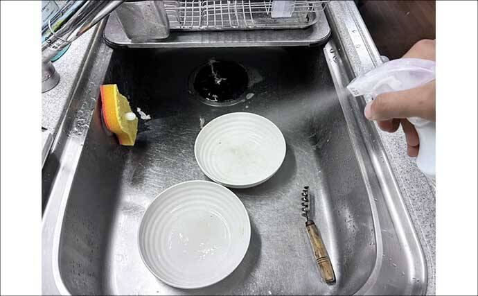 SLJの3大「白身」ターゲットのカルパッチョを食べ比べてみた 【イサキ・マダイ・キジハタ】