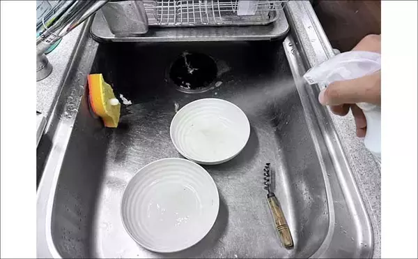 「SLJの3大「白身」ターゲットのカルパッチョを食べ比べてみた 【イサキ・マダイ・キジハタ】」の画像