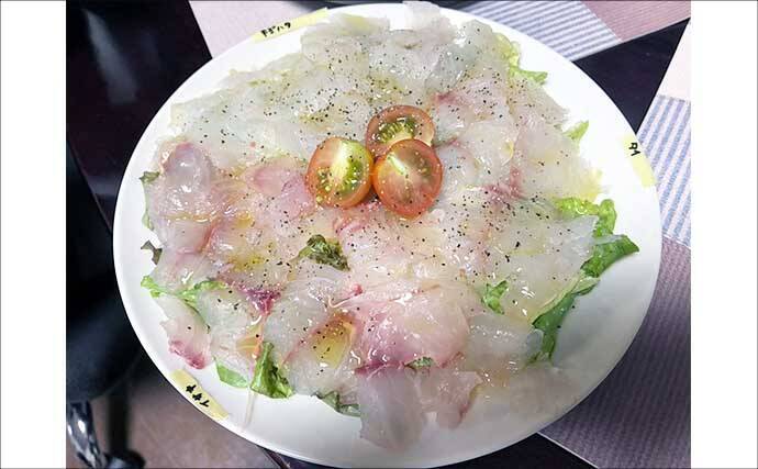 SLJの3大「白身」ターゲットのカルパッチョを食べ比べてみた 【イサキ・マダイ・キジハタ】