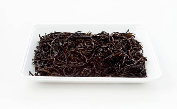 世界で海藻の養殖がブーム 生食 ではないその用途とは 22年2月11日 エキサイトニュース